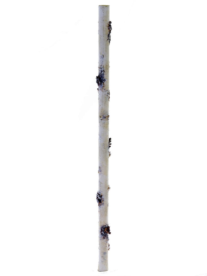 Pipsticks Washi Tape, White Birch
