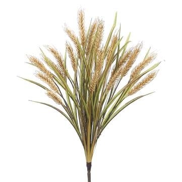 Natural Wheat Bush