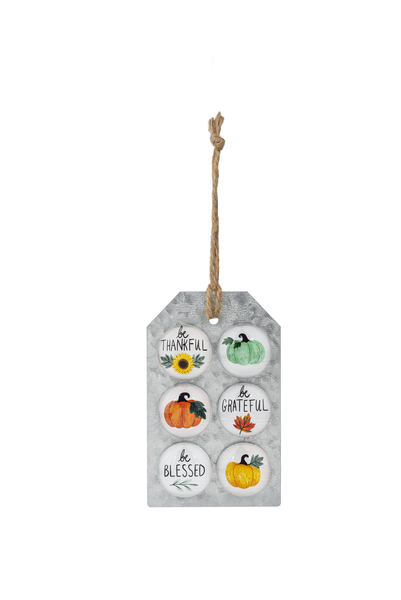 Set of 6 Harvest Magnets