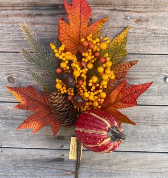 Red Pumpkin Acorn Berry Pick