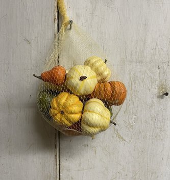 Bag of 12 Mini Pumpkin Gourd