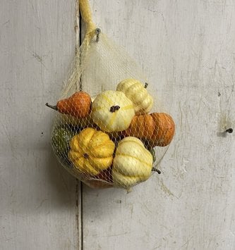 Bag of 12 Mini Pumpkin Gourd