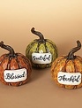 Carved Twisted Stem Message Pumpkin (3-Styles)