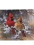 LED Tabletop Cardinal Couple on Snowy Branch Canvas