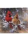 LED Tabletop Cardinal Couple on Snowy Branch Canvas