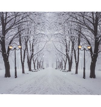 LED Snowy Path Canvas