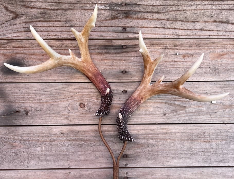 Rustic Wood and Antler Centerpiece