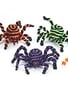 Vibrant Striped Spider (3-Colors)