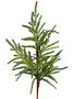 19" Austrian Pine Pick