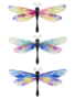 Large Metal Watercolor Dragonfly (3-Styles)