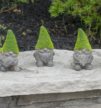 Mini Garden Moss Gnome (3-Styles)