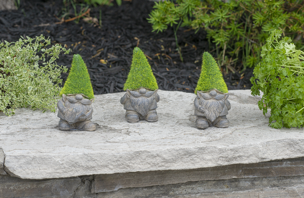 Mini Garden Moss Gnome (3-Styles)
