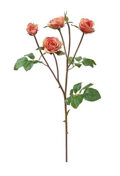 Cottage Rose Spray (4-Colors)