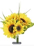 11" Sunflower Bundle