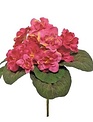 Natural African Violet Bush (3-Colors)