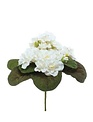 Natural African Violet Bush (3-Colors)