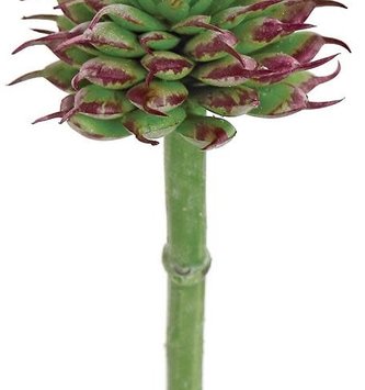 Mini Spiny Succulent Pick (2-Colors)