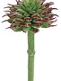 Mini Spiny Succulent Pick (2-Colors)