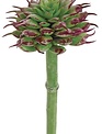 Mini Spiny Succulent Pick (2-Colors)