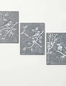 Bird & Botanic Etched Metal Wall Art (3-Styles)