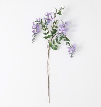 Lavender Wisteria Stem