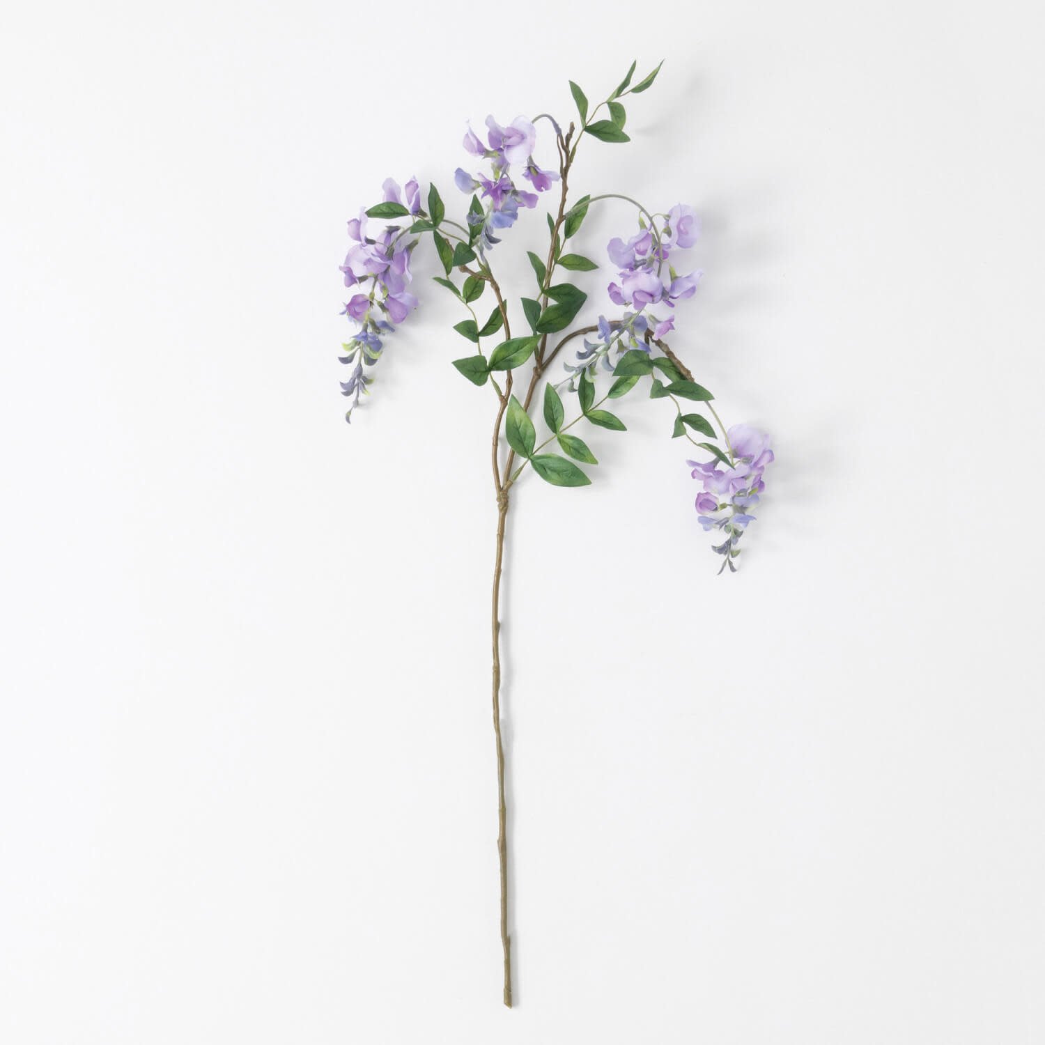 Lavender Wisteria Stem