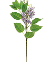 French Lilac Stem (3-Colors)