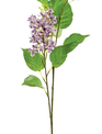 French Lilac Stem (3-Colors)