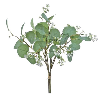 Eucalyptus & Seed Bundle
