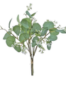 Eucalyptus & Seed Bundle