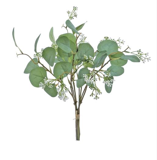 Eucalyptus & Seed Bundle