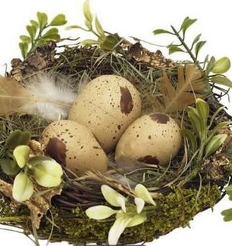 Angel Vine Bird Nest with Eggs (2-Sizes)