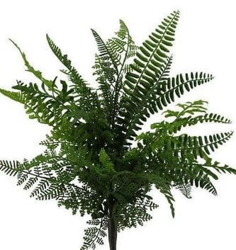 18" Real Touch Mixed Fern Bush