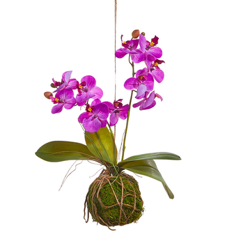 Real Touch Orchid on Moss Ball (2-Colors)