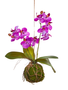 Real Touch Orchid on Moss Ball (2-Colors)