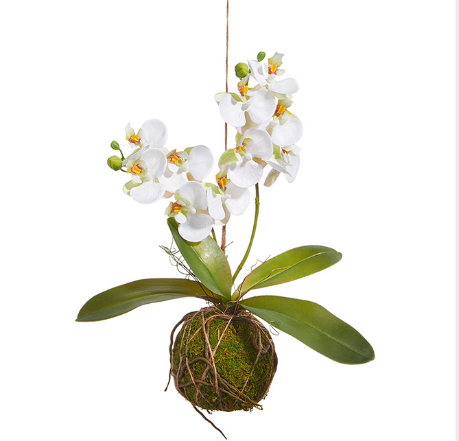 Real Touch Orchid on Moss Ball (2-Colors)