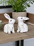 Distressed White Mini Bunny (2-Styles)