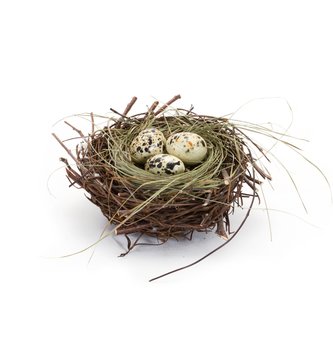 Natural Nest w/ 3 Speckled Eggs