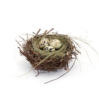 Natural Nest w/ 3 Speckled Eggs