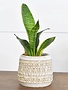 Two Tone Southwestern Container (2-Sizes)