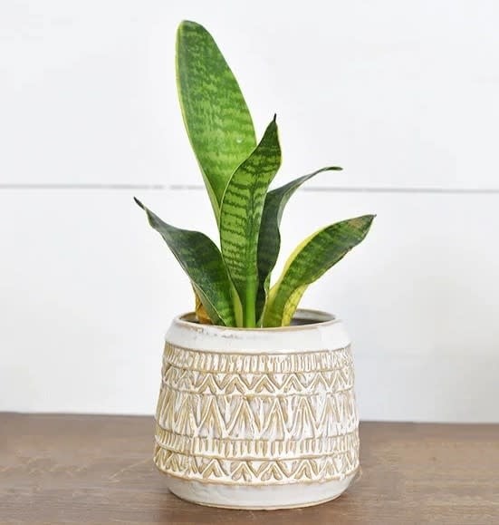 Two Tone Southwestern Container (2-Sizes)