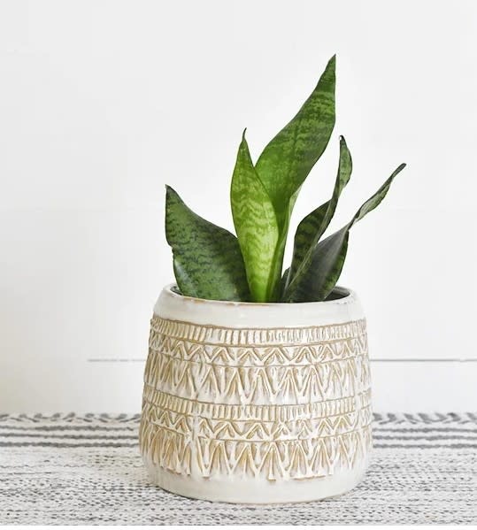 Two Tone Southwestern Container (2-Sizes)