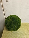 Moss Covered Orb (2-Sizes)