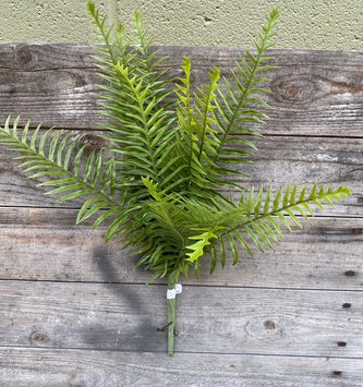 16.5" Sword Fern Bush