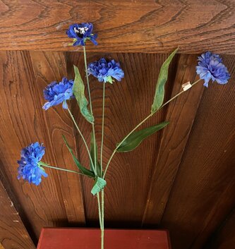 Multi Bloom Corn Flower Spray