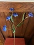Multi Bloom Corn Flower Spray