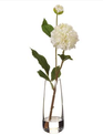 Dahlia in Glass Vase (3-Colors)