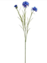 Wispy Cornflower Spray