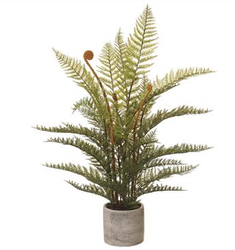 29" Forest Fern in Speckled Pottery