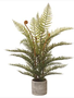 29" Forest Fern in Speckled Pottery